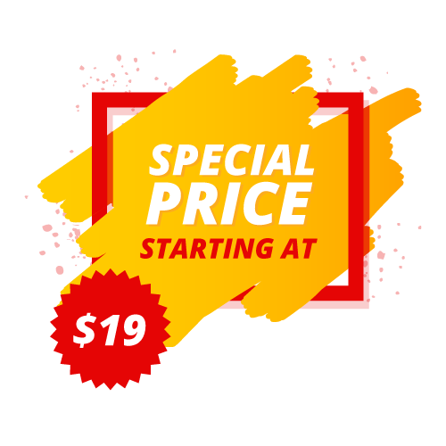 Special Price Starting Tag